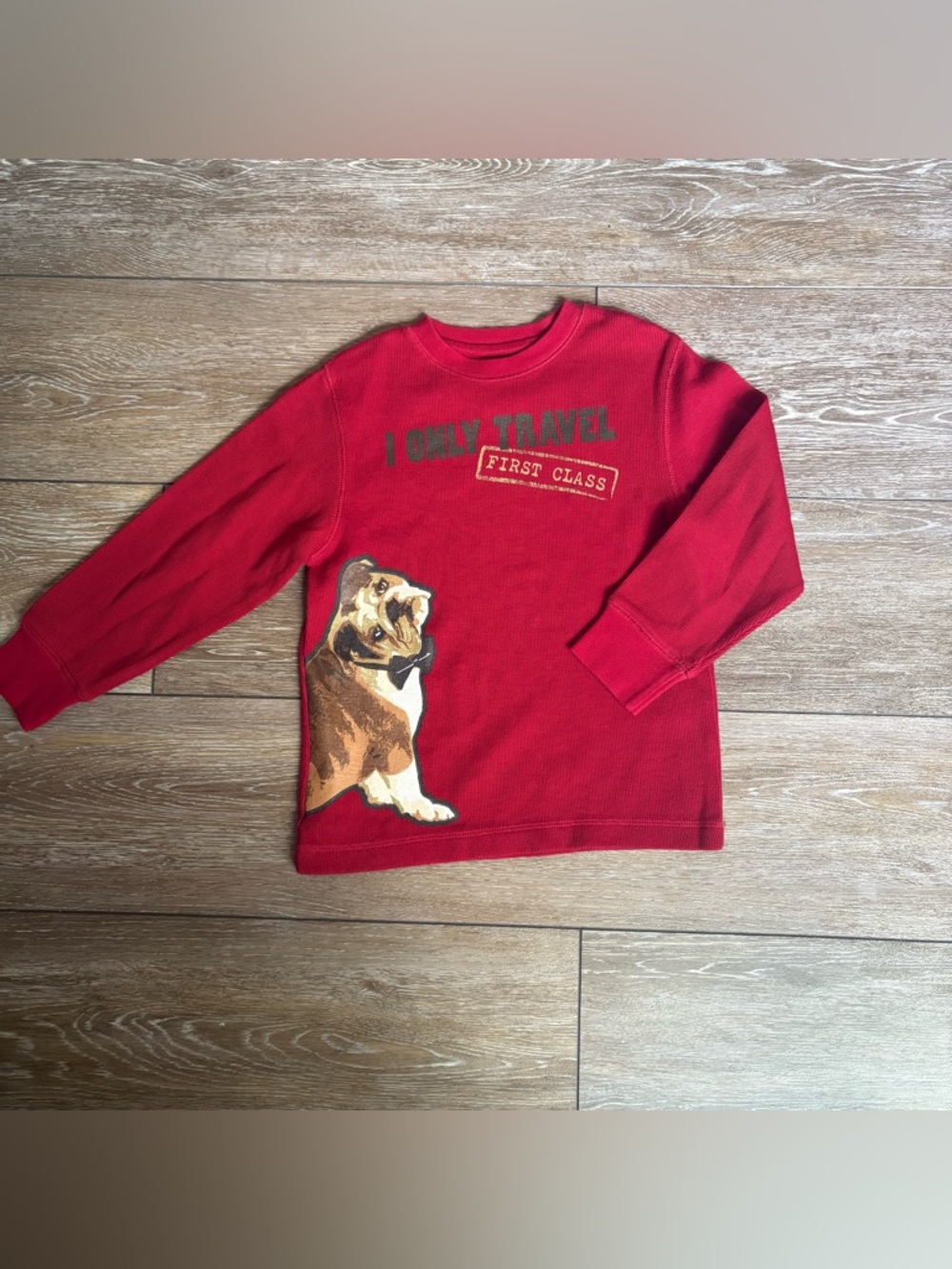 Gymboree Waffle Knit Bulldog Graphic Shirt